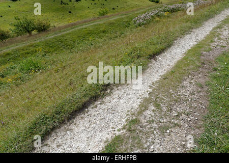 St Catherine'S Hill, Iron Age Hill Fort, Winchester, Hampshire, Angleterre, Royaume-Uni, Gb. Banque D'Images