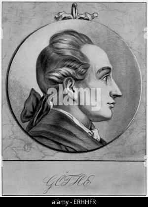 Johann Wolfgang Goethe - portrait de profil . L'allemand, poète, romancier, dramaturge et philosophe. 28 août 1749 - 22 mars Banque D'Images