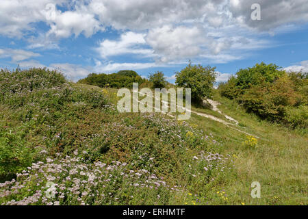 St Catherine's Hill, âge de fer fort, Winchester, Hampshire, England, UK. Banque D'Images