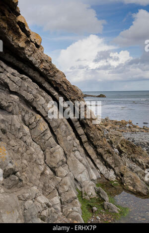 Les roches du Carbonifère à roches Saltpan, Scremerston, Weymouth, Dorset, Angleterre Banque D'Images