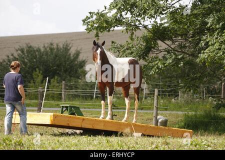 Femme avec Paint horse Banque D'Images