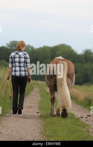 Femme avec cheval Haflinger Banque D'Images