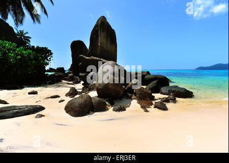 Anse Royale, plage sur l'île de Mahe, Seychelles Banque D'Images