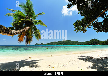 Plage de Baie Lazare, sur l'île de Mahe, Seychelles Banque D'Images