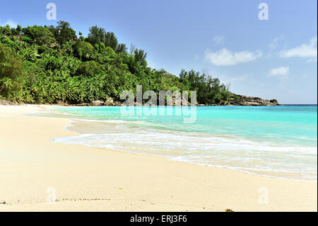 Anse Intendance, plage sur l'île de Mahe, Seychelles Banque D'Images