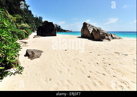 Anse Intendance, plage sur l'île de Mahe, Seychelles Banque D'Images