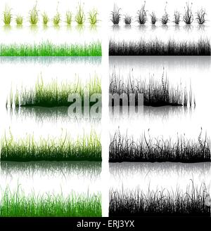 Grand ensemble d'herbe vert et noir isolé sur fond blanc. Vector illustration. Illustration de Vecteur