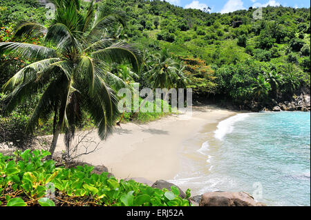 Anse Major, plage sur Mahe, Seychelles Banque D'Images