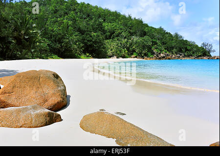 Anse Georgette, plage sur l'île de Praslin, Seychelles Banque D'Images