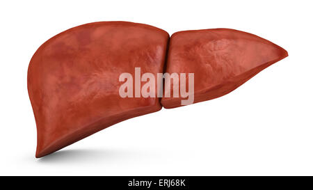 Le foie humain sur un fond blanc, 3D render Banque D'Images