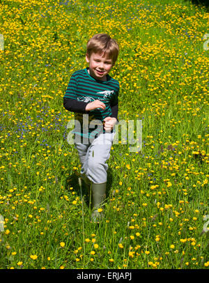 Shifnal, Shropshire, au Royaume-Uni. 3 juin, 2015. Météo France : 4 ans Harry Hayward bénéficie d'au début de l'été soleil dans une prairie buttercup près de son domicile à Littlehampton, Shropshire, Angleterre. Le mercredi 3 juin 2015. Crédit : John Hayward/Alamy Live News Banque D'Images