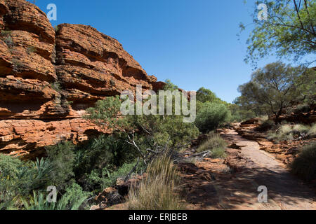 L'Australie, NT, Watarrka National Park. Kings Canyon Rim, à pied. Chemin du désert rouge pittoresque le long de la rim du canyon. Banque D'Images