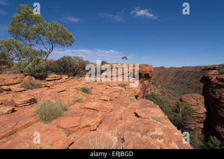 L'Australie, NT, Watarrka National Park. Kings Canyon Rim, à pied. Vue panoramique sur le désert rouge le long du canyon rim. Banque D'Images