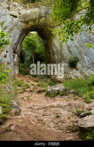Royaume-uni, Angleterre, Derbyshire, Dovedale, Grotte Reynards, entrée à l'ancienne caverne effondrée Banque D'Images