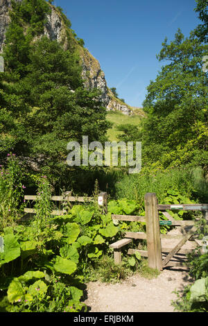 Royaume-uni, Angleterre, Derbyshire, Dovedale, montant sur le chemin à côté de rivière Dove Banque D'Images