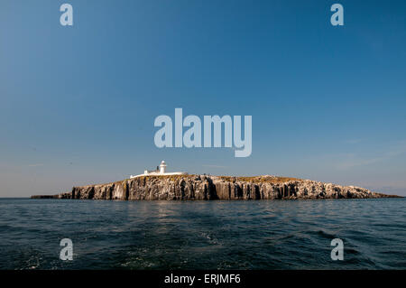 Une vue sur les falaises et le phare d'Inner Farne à partir d'un bateau en mer, Iles Farne, dans le Northumberland. De juin. Banque D'Images