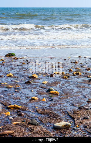 Cailloux sur une plage à Exmouth, dans le sud du Devon, England, UK Banque D'Images