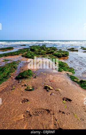 Cailloux sur une plage à Exmouth, dans le sud du Devon, England, UK Banque D'Images