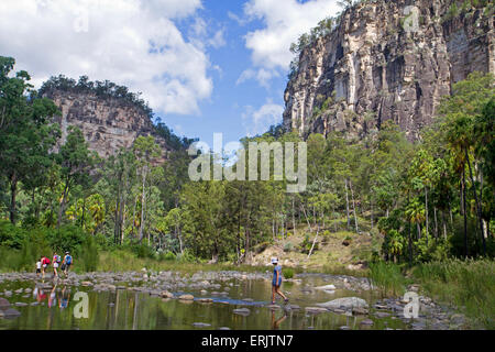 Gorges de Carnarvon Banque D'Images