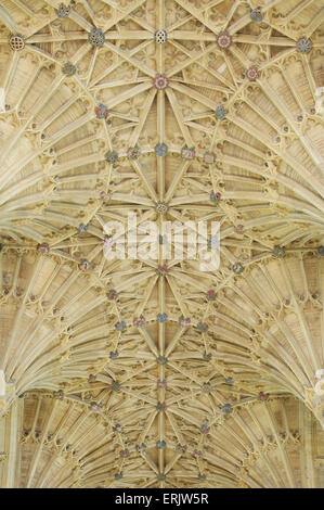 Le ventilateur au plafond voûté gothique magnifique de l'abbaye de Sherborne avec son motif complexe de croisées d'ogives. Dorset, Angleterre, Royaume-Uni. Banque D'Images