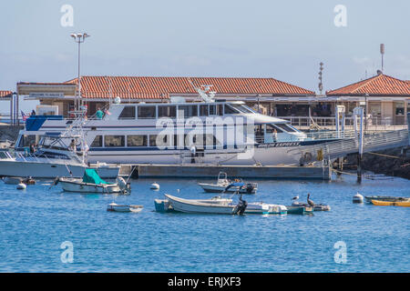 Catalina Express Ferry touristique au port de l'île Catalina Avalon Banque D'Images