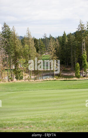 Un terrain de golf en Colombie-Britannique. Banque D'Images