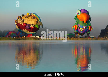 Montgolfières, ballons sur le lac Rotoroa Festival, Waikato, Hamilton, Waikato, Nouvelle-Zélande, île du Nord Banque D'Images