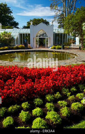 Jardin de fleurs de style victorien et d''hiver, les jardins de Hamilton, Waikato, Nouvelle-Zélande, île du Nord Banque D'Images