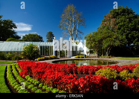 Jardin de fleurs de style victorien et d''hiver, les jardins de Hamilton, Waikato, Nouvelle-Zélande, île du Nord Banque D'Images