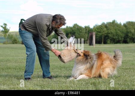 Chien de garde de forage Banque D'Images