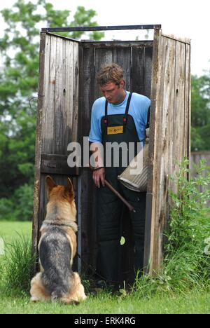 Chien de protection formation Banque D'Images