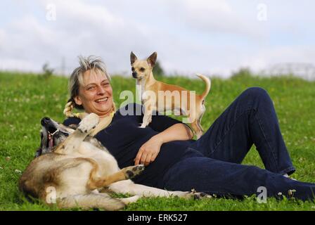 femme avec chiens Banque D'Images