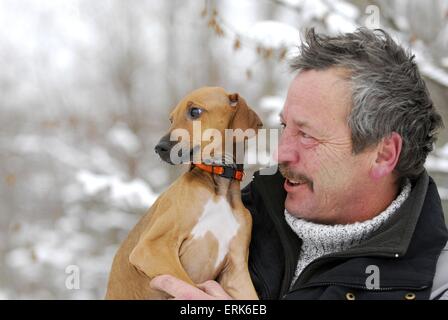 homme et azawakh Banque D'Images