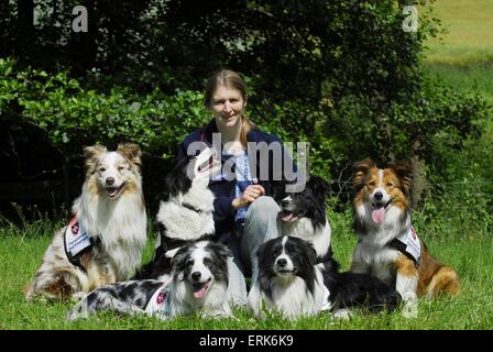 Border Collie Banque D'Images
