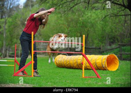 Border Collie en agility Banque D'Images