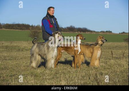 homme aux chiens Banque D'Images