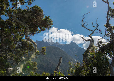 Vue de sommet de montagne parmi les arbres, le Mont Kinabalu, Sabah, Bornéo, Malaisie Banque D'Images