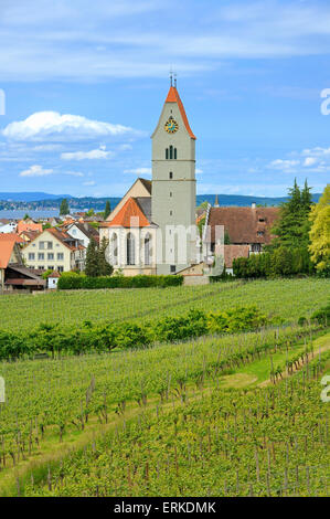 Église catholique de Saint Johann Baptist, Hagnau am Bodensee, Bade-Wurtemberg, Allemagne Banque D'Images