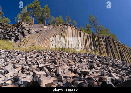 Devils Postpile National Monument, colonnes de basalte, avec des pins, Mammoth Mountain Meadow Valley, rouges, la Sierra Nevada Banque D'Images