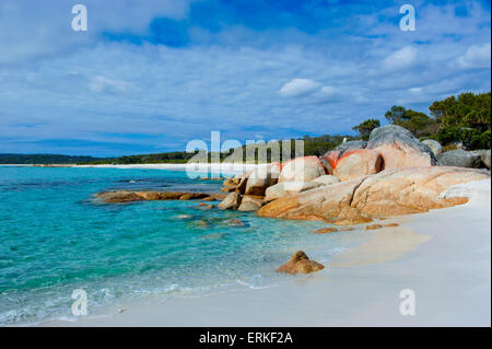 Plage, Baie de Feu, Tasmanie, Australie Banque D'Images