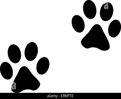 Vector illustration d'animaux empreintes sur fond blanc Illustration de Vecteur