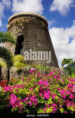 Mountpelier Plantation Inn, Nevis, Saint Kitts et Nevis, Iles sous le vent, Antilles, Caraïbes, Amérique Centrale Banque D'Images