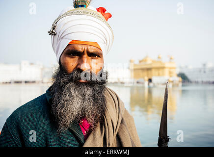 Portrait d'homme Sikh Nihang, Harmandir Sahib (Temple d'Or), Amritsar, Punjab, en Inde, en Asie Banque D'Images