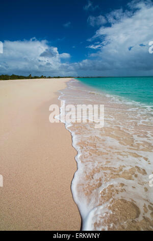 Plage de sable rose est situé sur la côte sud-ouest de la petite île de Barbuda, Antigua et Barbuda, Iles sous le vent Banque D'Images