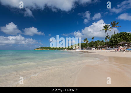 Dickinson Bay surplombant la mer des Caraïbes, Antigua, Iles sous le vent, Antilles, Caraïbes, Amérique Centrale Banque D'Images