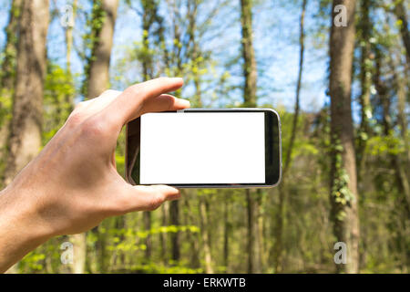 Vue avant du hand holding horizontal Noir Smartphone avec écran blanc vide entre les arbres. Banque D'Images