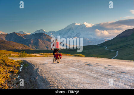 Un homme le cyclotourisme dans le Parc National Denali avec Mt. McKinley dans l'arrière-plan, l'intérieur de l'Alaska, l'été Banque D'Images