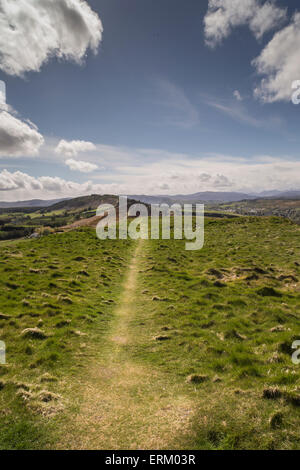 Cat's back track sur Knockfarrel dans les Highlands d'Ecosse. Banque D'Images