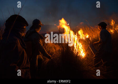 Les travailleurs n'Ranch un brûlage contrôlé de hautes herbes dans les prairies d'Estancia Rincon del Socorro, Esteros del Ibera, Corrientes Banque D'Images