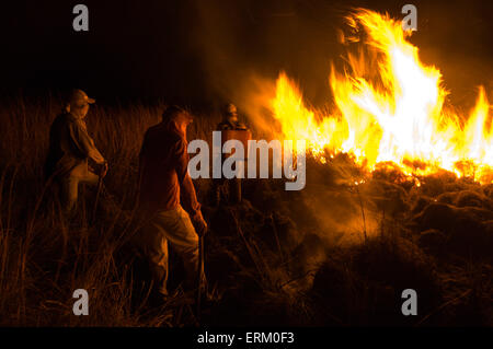 Les travailleurs n'Ranch un brûlage contrôlé de hautes herbes à la tombée du jour, dans les prairies d'Estancia Rincon del Socorro, Esteros del Ibera, C Banque D'Images